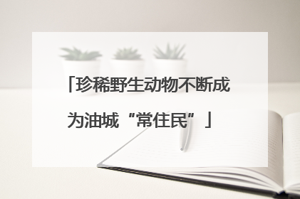 珍稀野生动物不断成为油城“常住民”