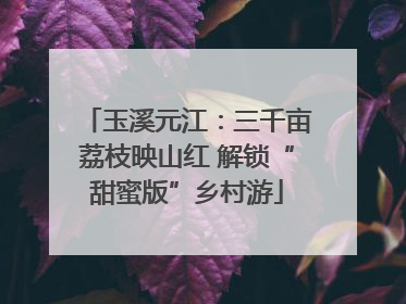 玉溪元江：三千亩荔枝映山红 解锁“甜蜜版”乡村游