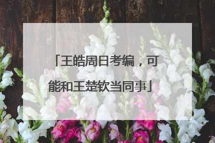王皓周日考编，可能和王楚钦当同事
