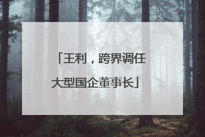 王利，跨界调任大型国企董事长