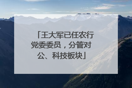 王大军已任农行党委委员，分管对公、科技板块