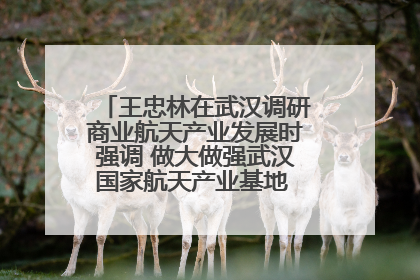 王忠林在武汉调研商业航天产业发展时强调 做大做强武汉国家航天产业基地 打造具有全国影响力的“中国星谷”