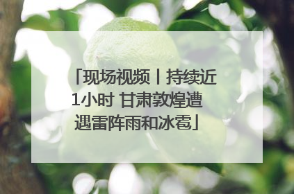 现场视频丨持续近1小时 甘肃敦煌遭遇雷阵雨和冰雹