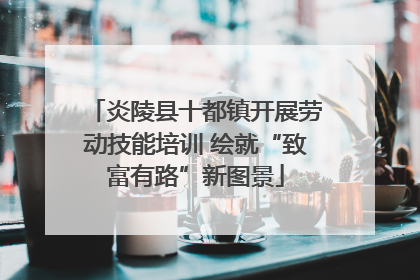 炎陵县十都镇开展劳动技能培训 绘就“致富有路”新图景