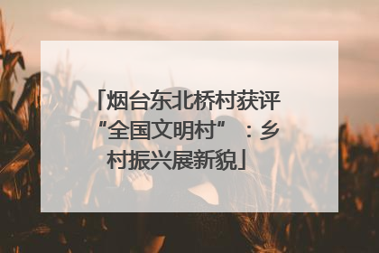 烟台东北桥村获评“全国文明村”：乡村振兴展新貌