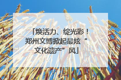 焕活力、绽光彩！郑州文博掀起最炫“文化遗产”风