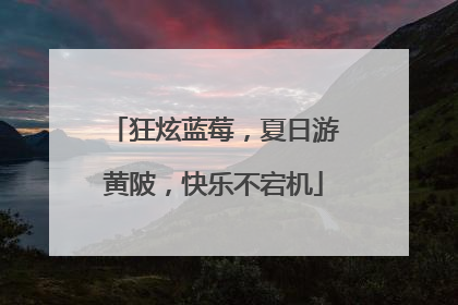 狂炫蓝莓，夏日游黄陂，快乐不宕机