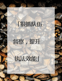 狠抓队伍督察，提升执法效能