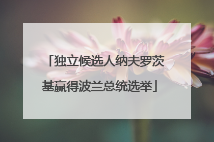 独立候选人纳夫罗茨基赢得波兰总统选举