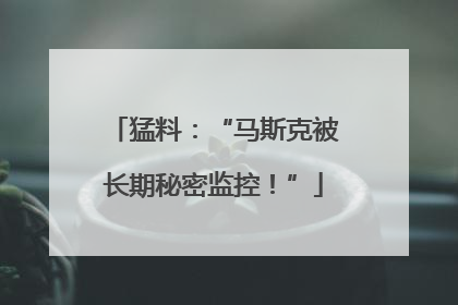 猛料：“马斯克被长期秘密监控！”
