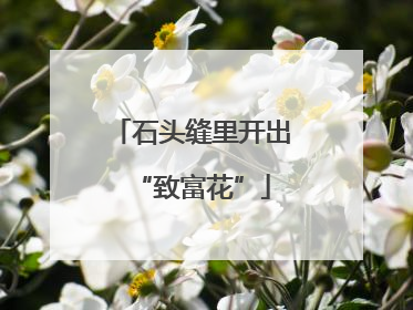石头缝里开出“致富花”