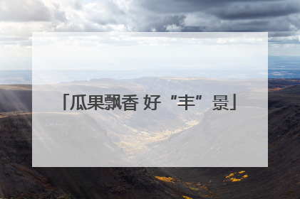 瓜果飘香 好“丰”景