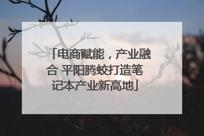 电商赋能，产业融合 平阳腾蛟打造笔记本产业新高地