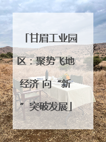 甘眉工业园区：聚势飞地经济 向“新”突破发展