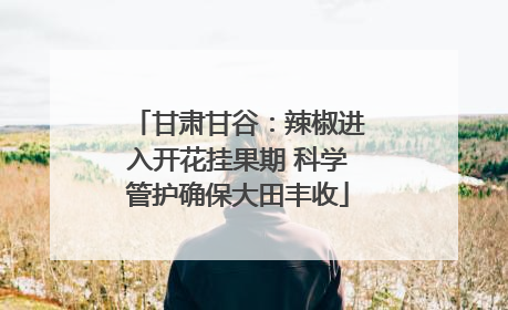 甘肃甘谷：辣椒进入开花挂果期 科学管护确保大田丰收