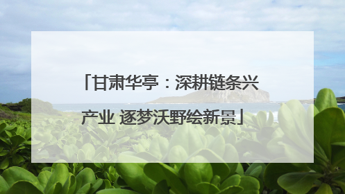 甘肃华亭：深耕链条兴产业 逐梦沃野绘新景