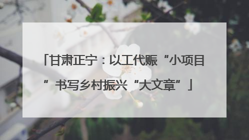 甘肃正宁：以工代赈“小项目”书写乡村振兴“大文章”