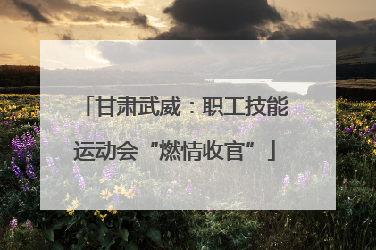 甘肃武威：职工技能运动会“燃情收官”