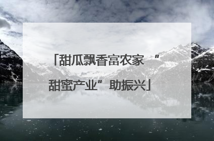甜瓜飘香富农家 “甜蜜产业”助振兴
