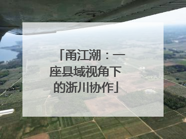 甬江潮：一座县域视角下的浙川协作