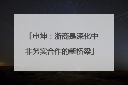 申坤：浙商是深化中非务实合作的新桥梁