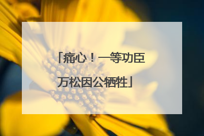 痛心！一等功臣万松因公牺牲