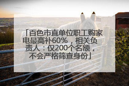 百色市直单位职工购家电最高补60％，相关负责人：仅200个名额，不会严格筛查身份