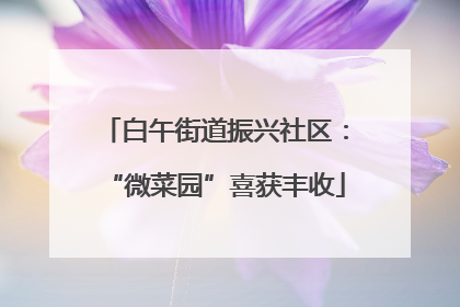 白午街道振兴社区：“微菜园”喜获丰收