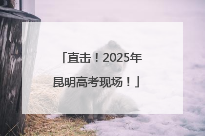直击！2025年昆明高考现场！