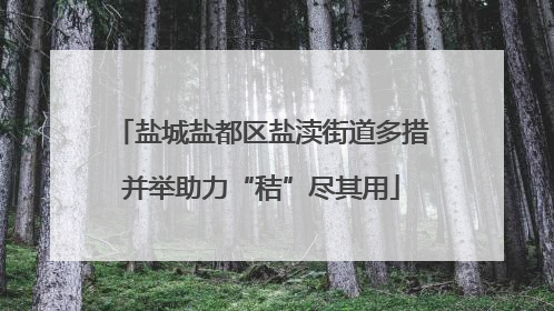 盐城盐都区盐渎街道多措并举助力“秸”尽其用