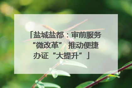 盐城盐都：审前服务“微改革” 推动便捷办证“大提升”