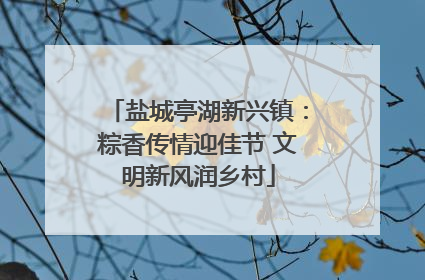 盐城亭湖新兴镇：粽香传情迎佳节 文明新风润乡村