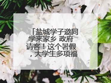 盐城学子邀同学来家乡 政府请客！这个暑假，大学生多项福利免费游盐城
