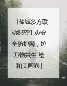 盐城多方联动织密生态安全防护网，护万物共生 绘和美画卷
