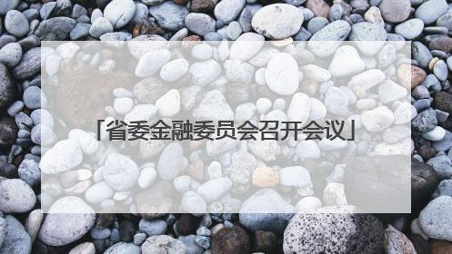 省委金融委员会召开会议