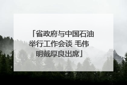 省政府与中国石油举行工作会谈 毛伟明戴厚良出席