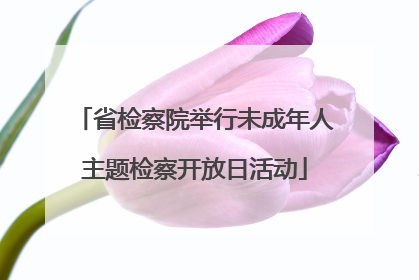省检察院举行未成年人主题检察开放日活动