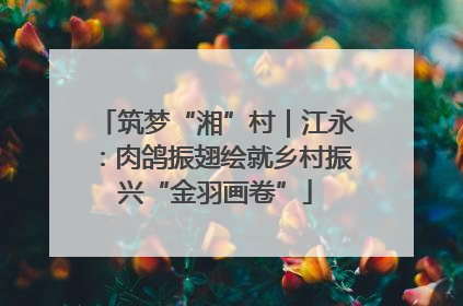 筑梦“湘”村｜江永：肉鸽振翅绘就乡村振兴“金羽画卷”