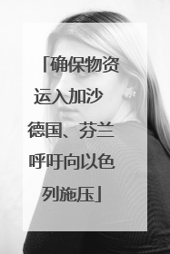 确保物资运入加沙 德国、芬兰呼吁向以色列施压
