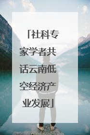 社科专家学者共话云南低空经济产业发展