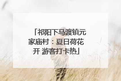 祁阳下马渡镇元家庙村：夏日荷花开 游客打卡热