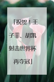 祝贺！王子菲、胡凯射击世界杯再夺冠