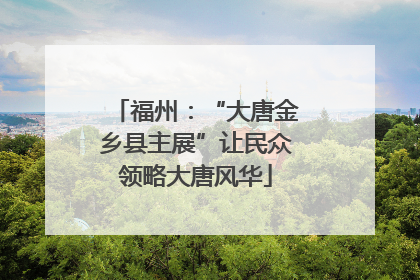 福州：“大唐金乡县主展”让民众领略大唐风华