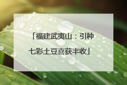 福建武夷山：引种七彩土豆喜获丰收