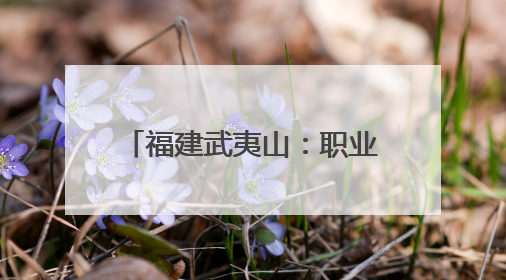 福建武夷山：职业教育服务茶产业