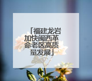 福建龙岩加快闽西革命老区高质量发展