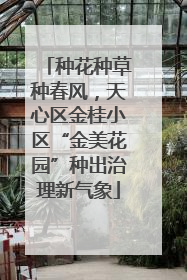 种花种草种春风，天心区金桂小区“金美花园”种出治理新气象