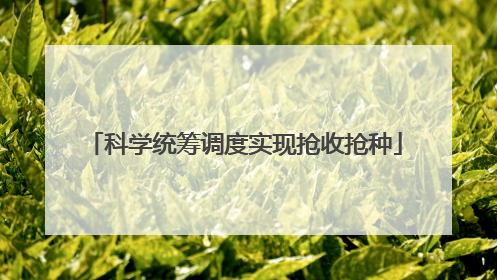 科学统筹调度实现抢收抢种