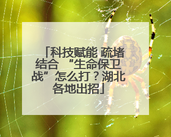 科技赋能 疏堵结合 “生命保卫战”怎么打？湖北各地出招