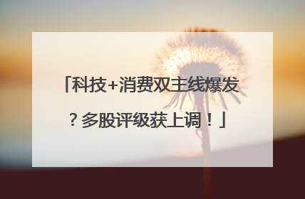 科技+消费双主线爆发？多股评级获上调！